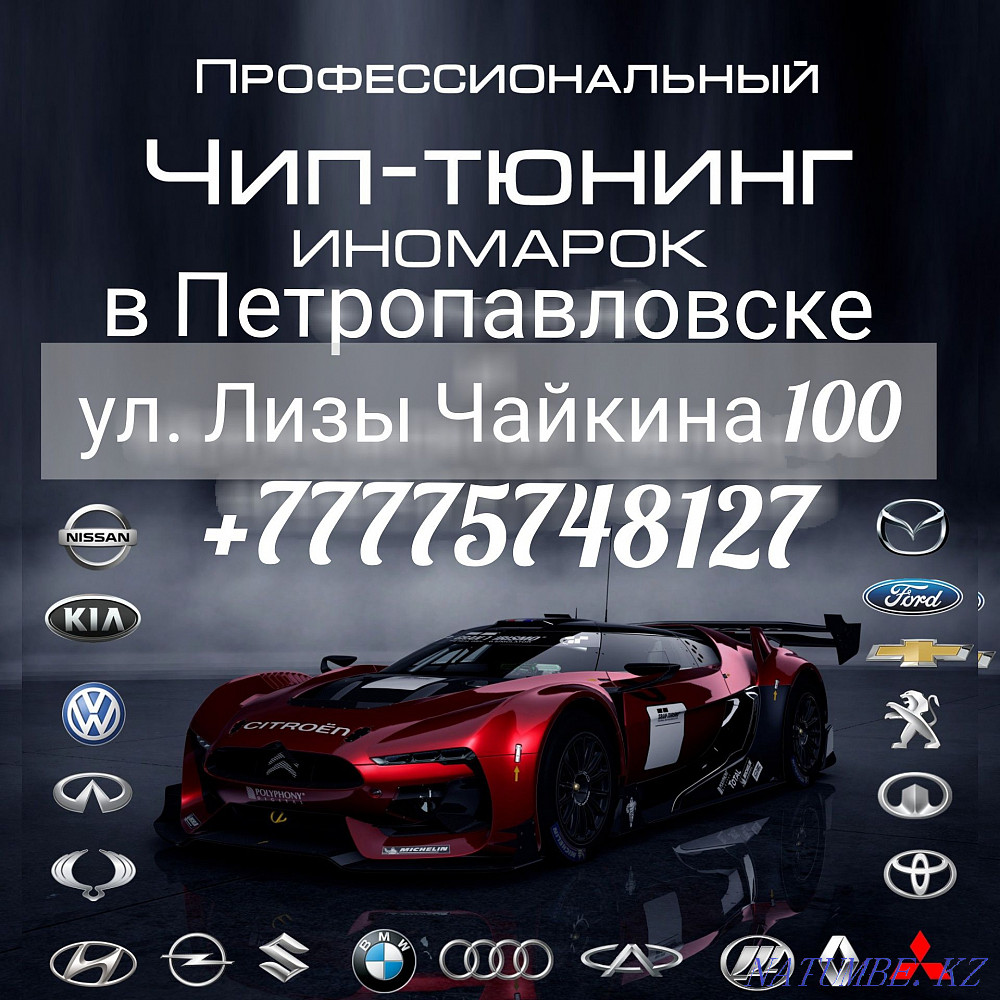 chip tuning removing catalytic converter Euro2 Kia Hyundai Toyota Lexus Petropavlovsk - photo 3