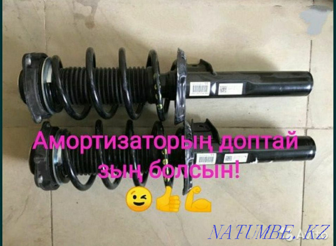 Bleeding shock absorbers 3500 Astana - photo 3