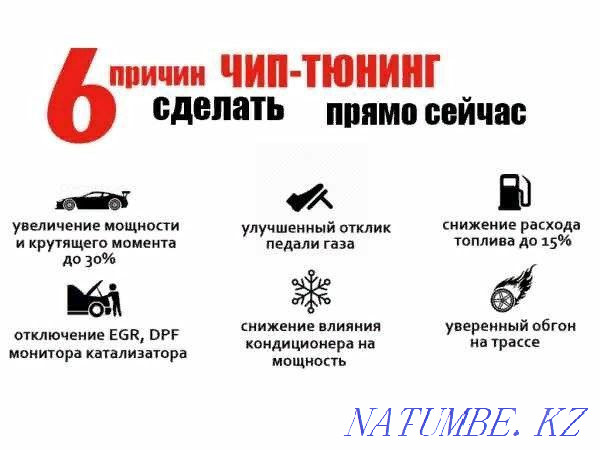 Чип тюнинг Toyota Nissan Hyundai Kia Honda катализаторын сатып алуды алып тастайды  Петропавл - изображение 1