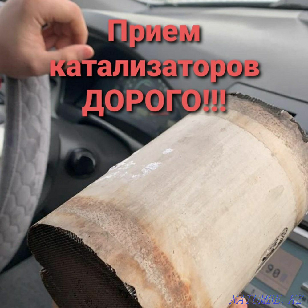 Catalyst Catalyst Taraz - photo 1