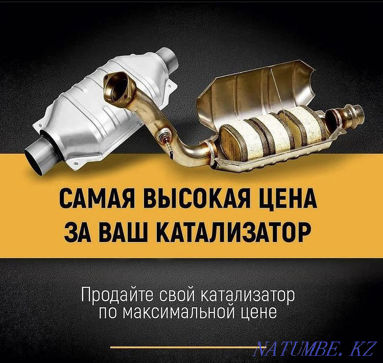 Скупка и удаление катализаторов Астана - изображение 1