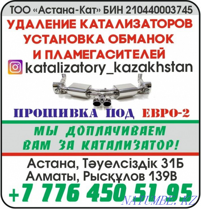 Removal of catalysts, installation of snags and flame arresters. With surcharge Almaty - photo 1