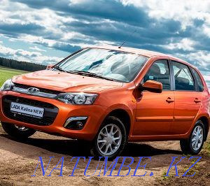 Chip and lowering the coolant temperature, from 12,000 then UAZ, GAZ, NIVA, LADA Almaty - photo 5