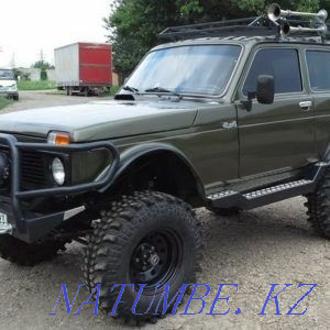 Chip and lowering the coolant temperature, from 12,000 then UAZ, GAZ, NIVA, LADA Almaty - photo 2