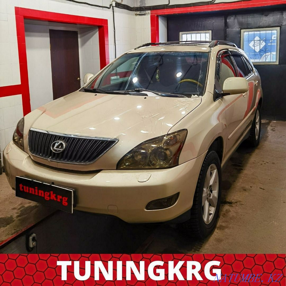 Удаление катализаторов p0420 p0430 TOYOTA LEXUS чиптюнинг Караганда - изображение 2