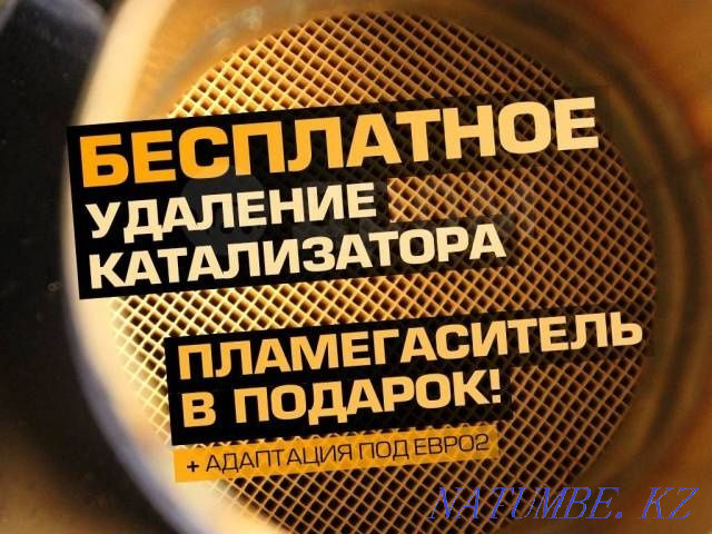 Удаление катализаторов EGREVAP прошивка под евро2 Диагностикаавтовыезд Алматы - изображение 1
