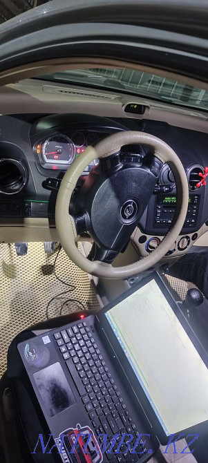 Чип тюнинг Ravon Chevrolet Daewoo Renault Kia Hyundai Алматы - изображение 6