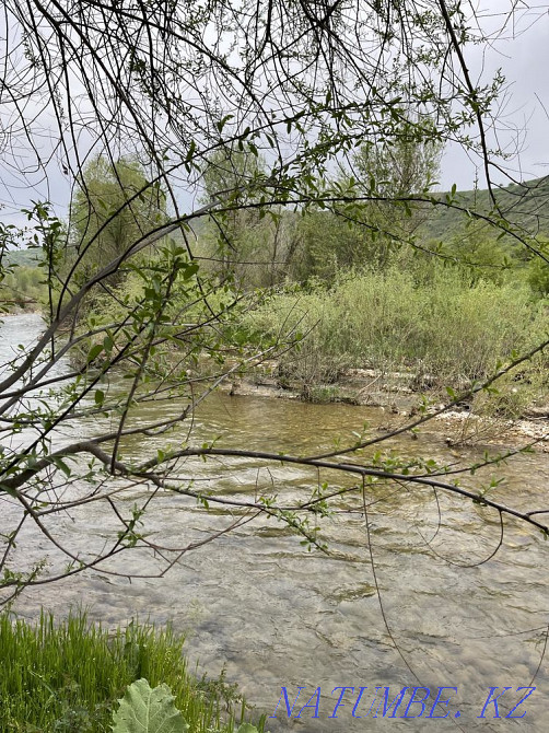 Демалыс орталы?ы, зона отдыха, коттеджи Тулкубас Шымкент - изображение 5