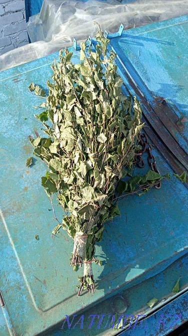 Brooms fresh birch 320 tenge  - photo 1