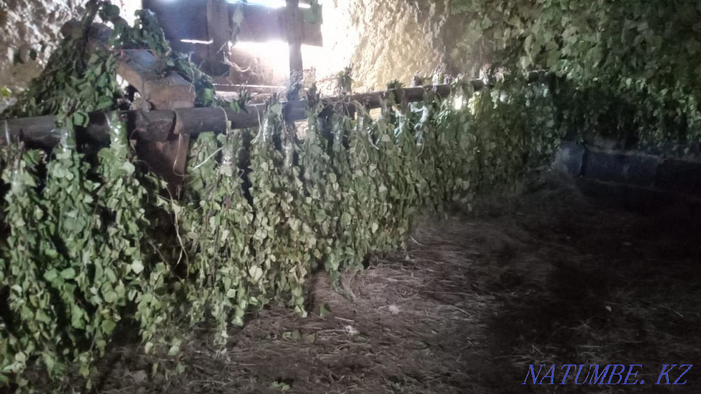 Brooms fresh birch 320 tenge  - photo 2