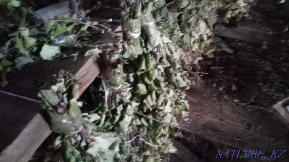 Brooms fresh birch 320 tenge  - photo 6