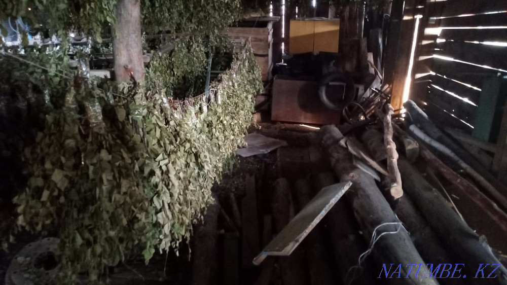 Brooms fresh birch 320 tenge  - photo 3