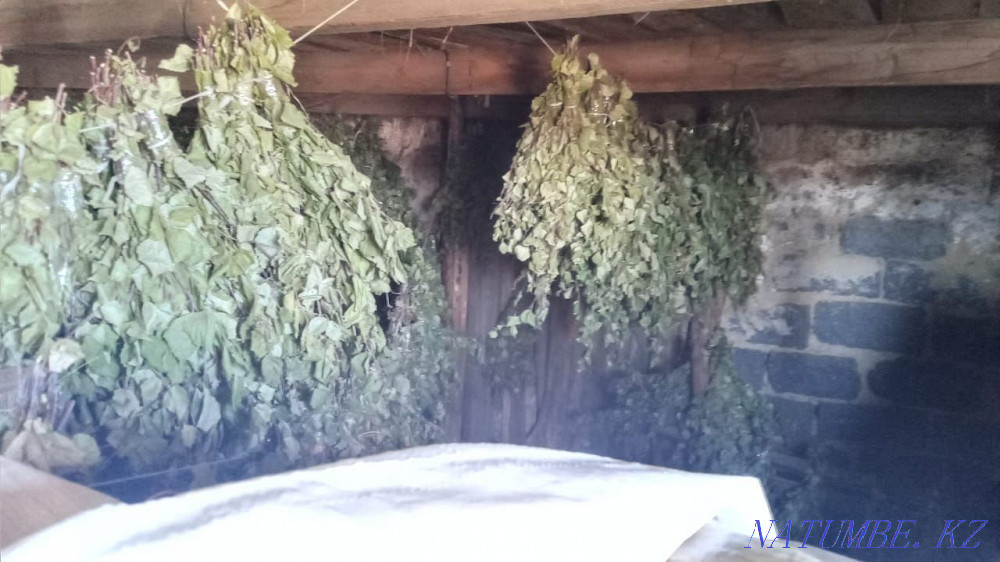 Brooms fresh birch 320 tenge  - photo 7