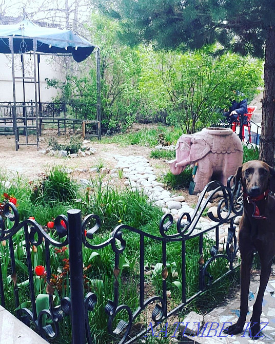 Хостел 3000? сутки 30./40.000? в месяц вместе с ком.услугами Шымкент - изображение 5