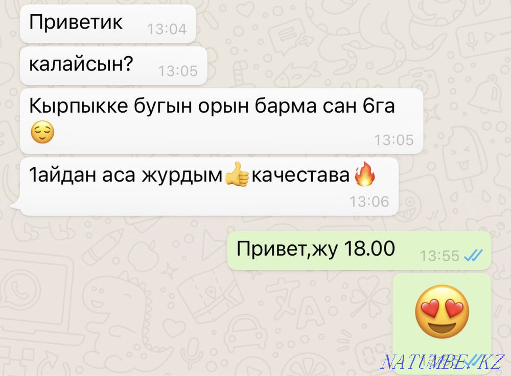 Eyelash extension 3900 and lamination of eyelashes and eyebrows Almaty - photo 3