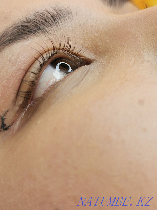 Акция Ламинирование ресниц 3500 Алматы - изображение 4