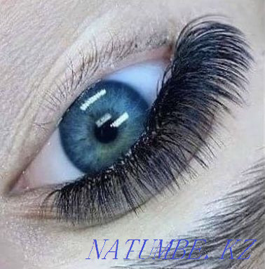 Eyelash extension promotion for Nauryz Petropavlovsk - photo 1