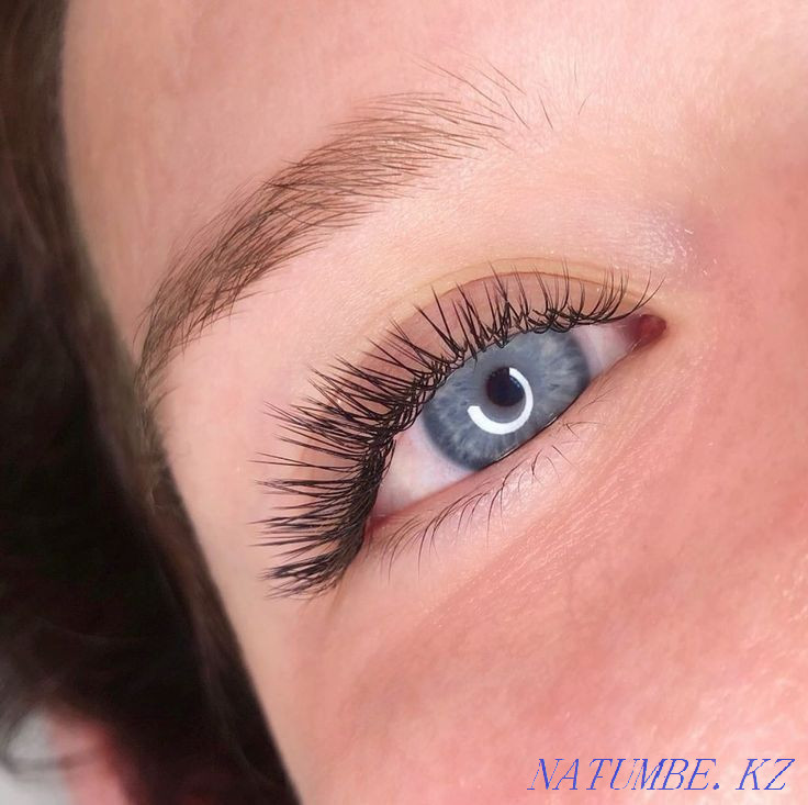 eyelash extension Oral - photo 3