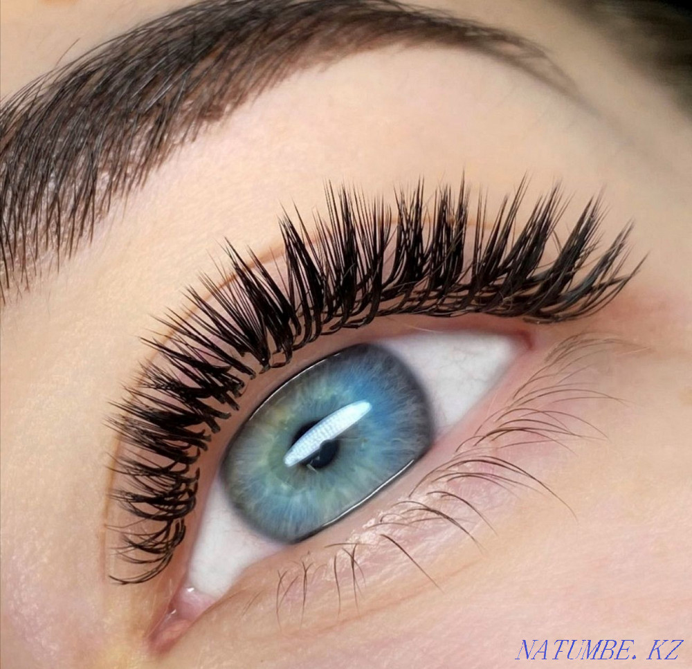 eyelash extension Oral - photo 1