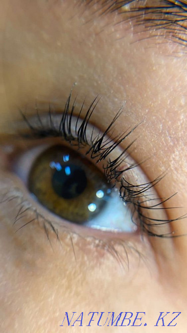 Lamination of eyelashes with Botox, Shaping and coloring of eyebrows. Rudnyy - photo 1