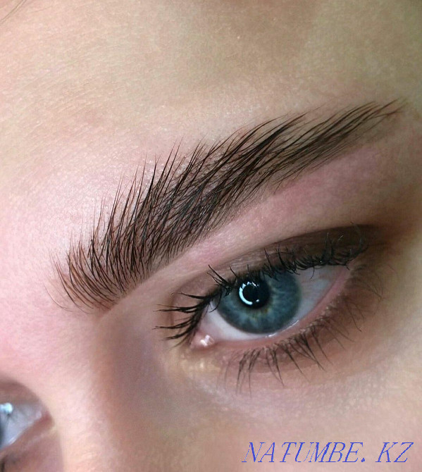 Eyelashes 2d + Eyebrows as a gift from 3000 Petropavlovsk - photo 5