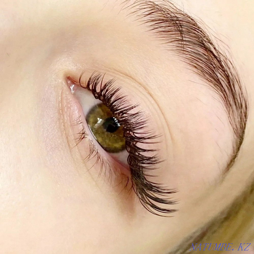 Eyelashes 2d + Eyebrows as a gift from 3000 Petropavlovsk - photo 2