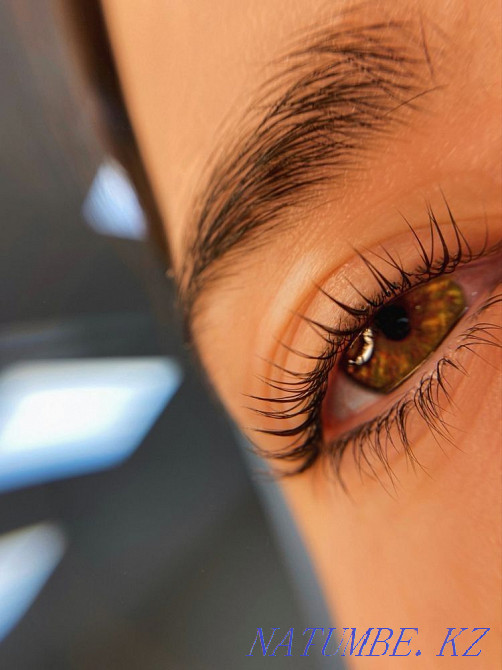 Ламинирование Ресниц и Бровей Павлодар - изображение 7