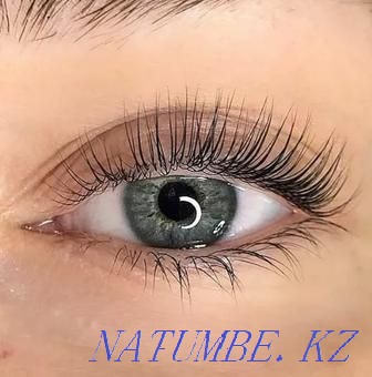 Professional extension, lamination of eyelashes, eyebrows. BIO Almaty - photo 3