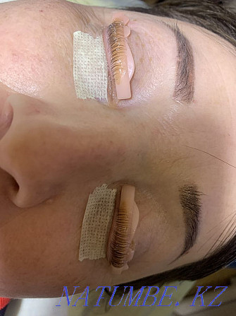 Eyelash extensions, eyelash lamination and eyebrow tinting  - photo 8