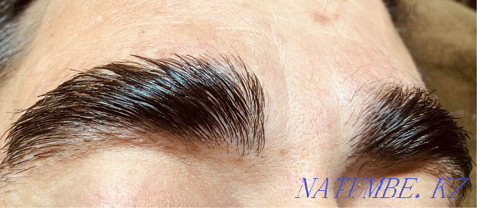 Eyelash extensions, eyelash lamination and eyebrow tinting  - photo 7