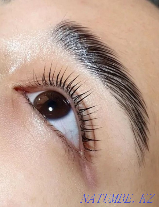 Eyelash lamination Тельмана - photo 1