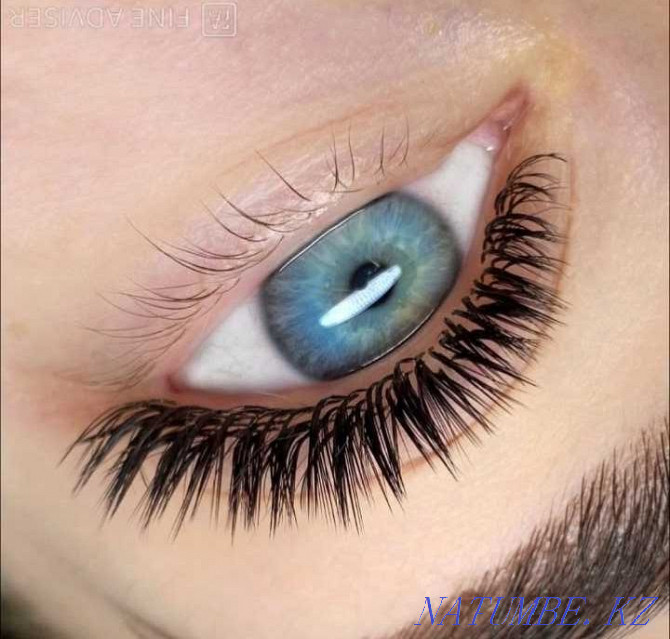 Eyelash extension Promotion until June 2500 tenge Astana - photo 4