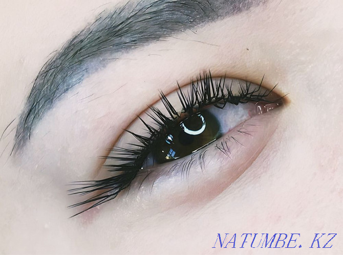 eyelash extension  - photo 1