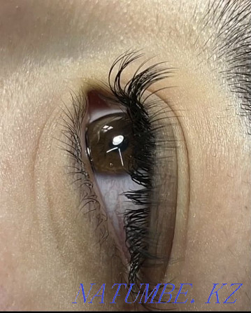 eyelash extension  - photo 5