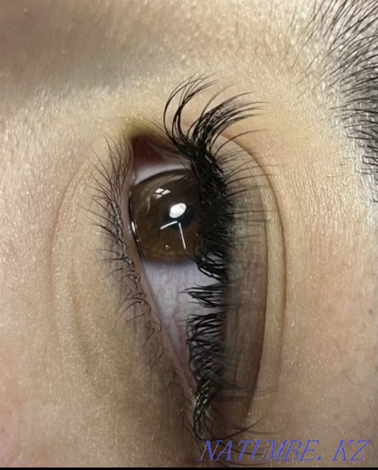 eyelash extension  - photo 5
