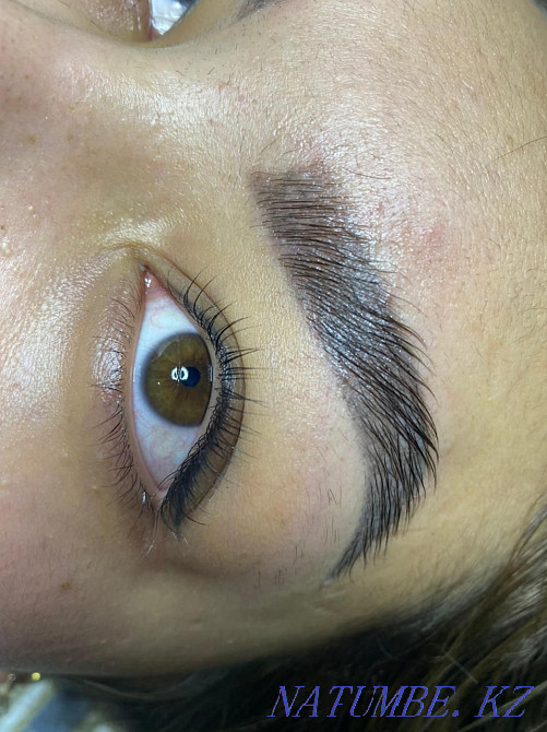 Extension, lamination of eyelashes 2500 tg Taraz - photo 5