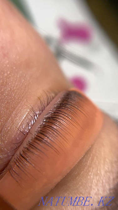 Модель к действующему ламинирование ресниц Темиртау - изображение 2