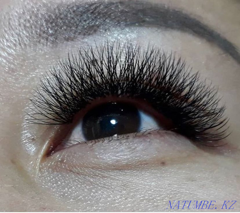 eyelashes eyelashes eyelashes eyelashes Taldykorgan - photo 1