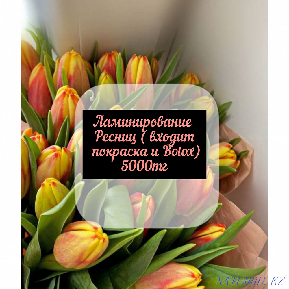 Ламинирование ресниц  - изображение 2