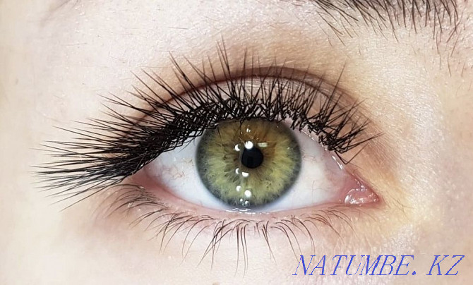 eyelash extensions and lamy eyebrows Almaty - photo 4