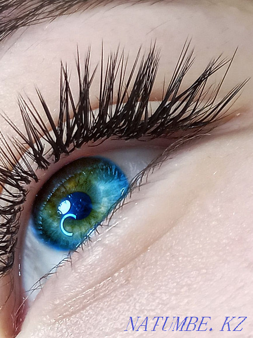 eyelash extension  - photo 6