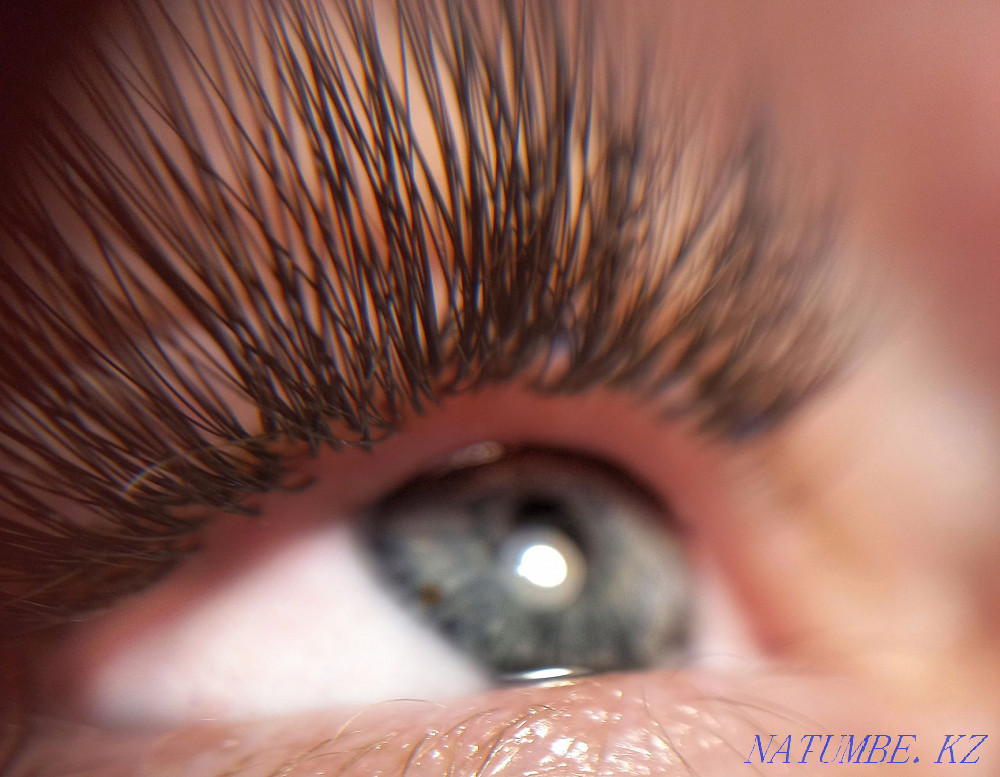 eyelash extension  - photo 8