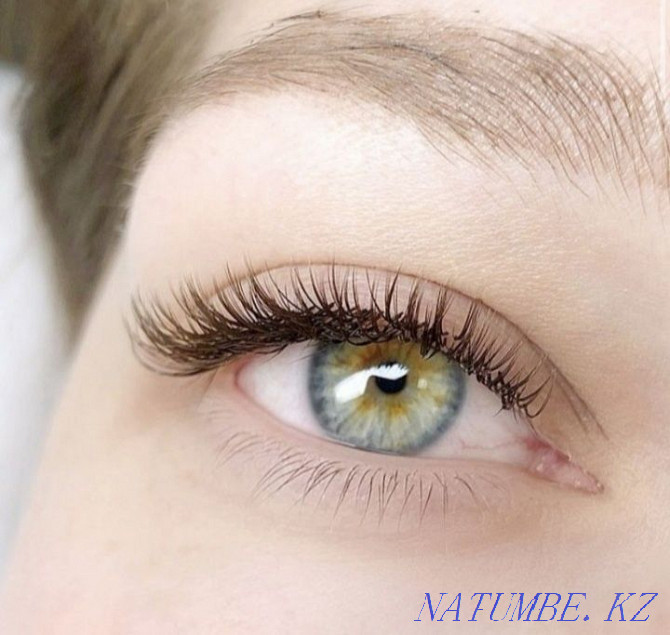 2500 eyelash extensions Kostanay - photo 1