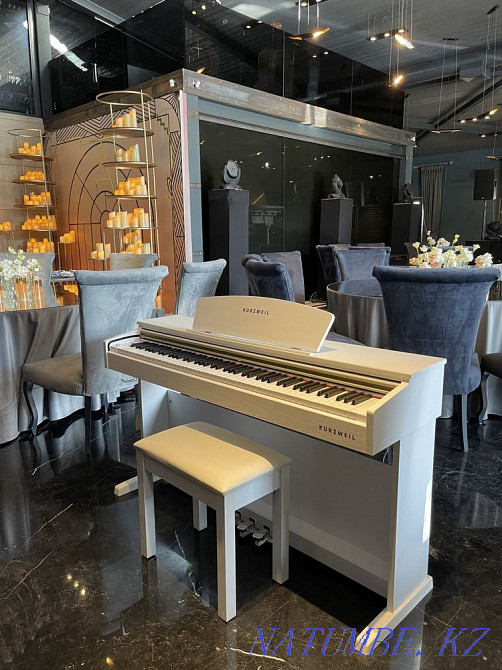Piano rental Almaty - photo 8