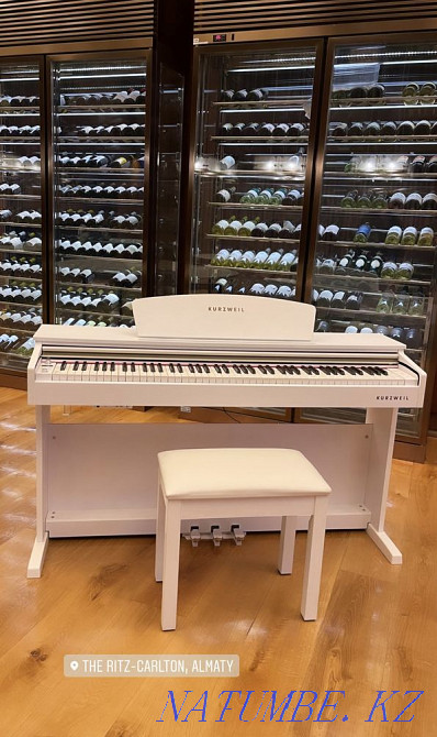 Piano rental Almaty - photo 6