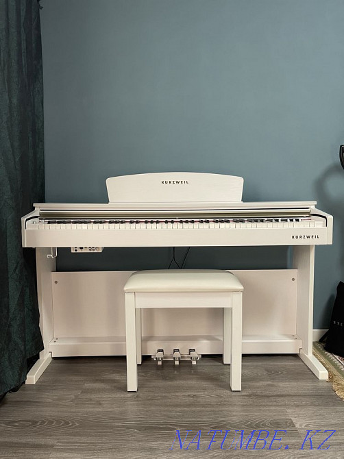 Piano rental Almaty - photo 2