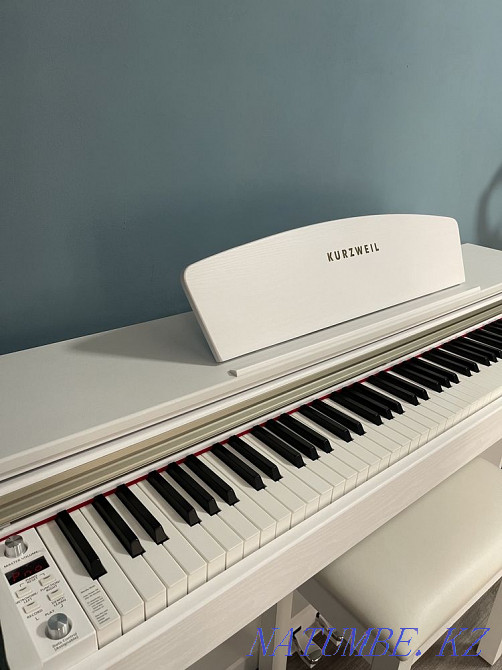 Piano rental Almaty - photo 3