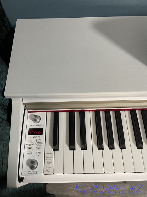 Piano rental Almaty - photo 4