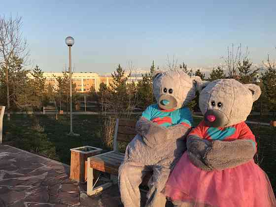Мало денег. Но хочешь удивить ? Арендуй 2-х Мишек с доставкой за 15к Алматы
