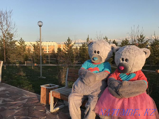 Money is tight. But do you want to be surprised? Rent 2 Bears with delivery for 15k Almaty - photo 3